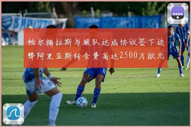 帕尔梅拉斯与狼队达成协议签下边锋阿里亚斯转会费高达2500万欧元